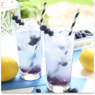 Blueberry Cooler